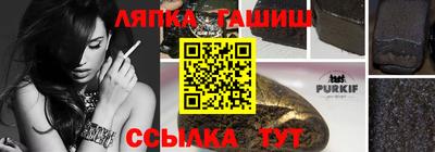 apvp Камышлов