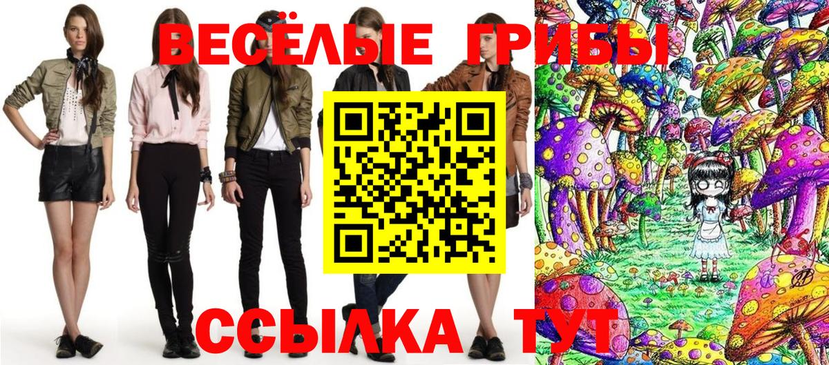 Галлюциногенные грибы прущие грибы Балтийск